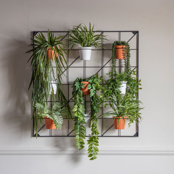 carmen wall planter